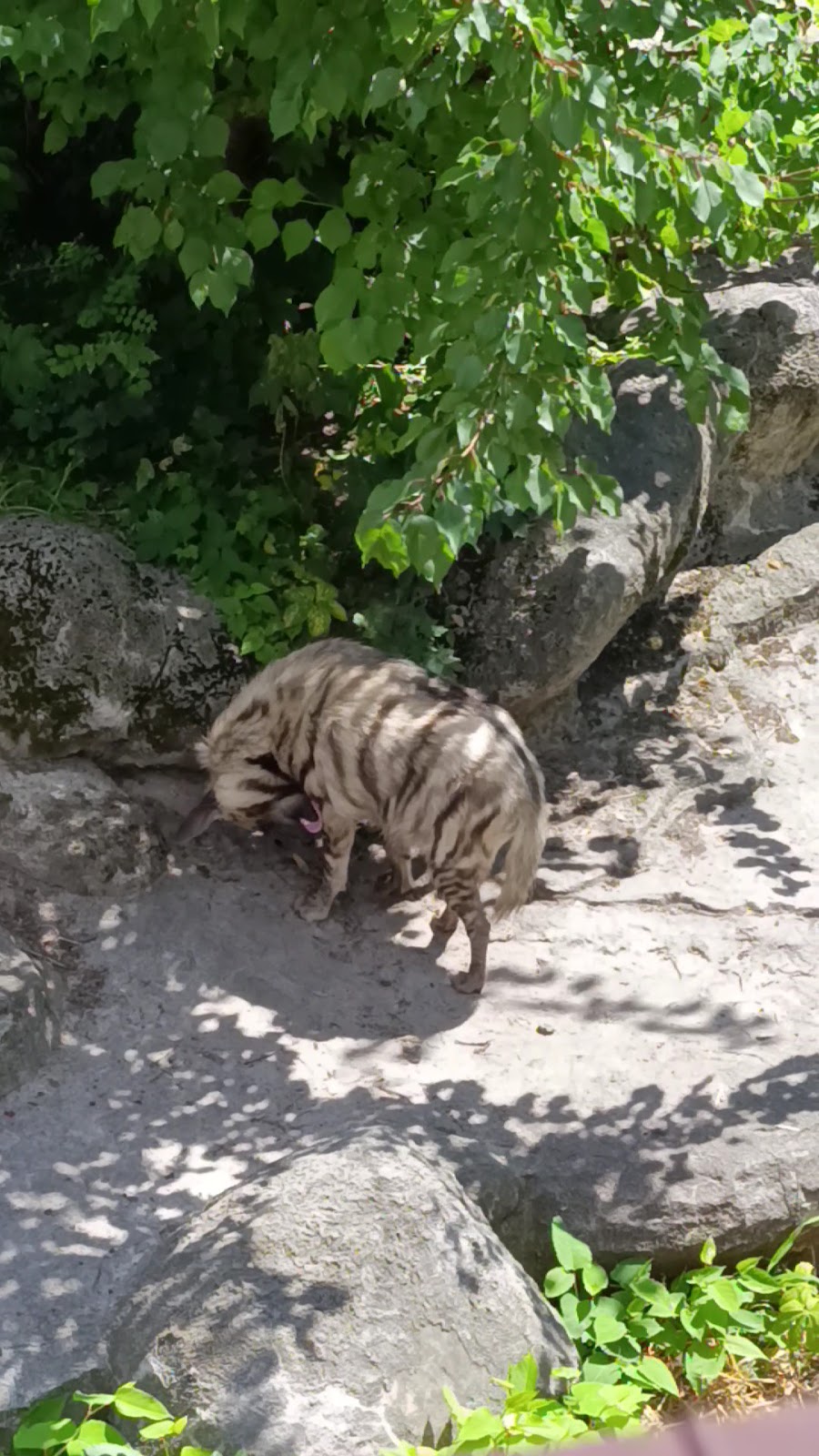 Kiev Zoo photo 4