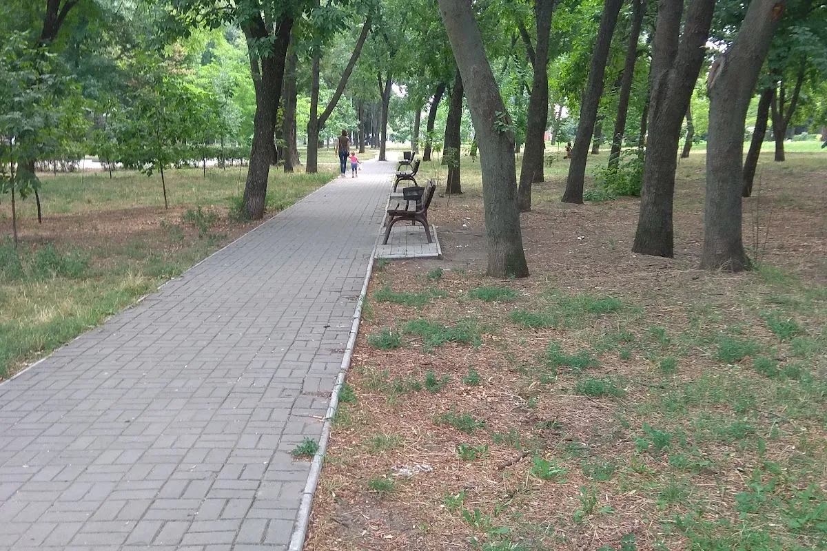 Park them. Chuikova photo 1