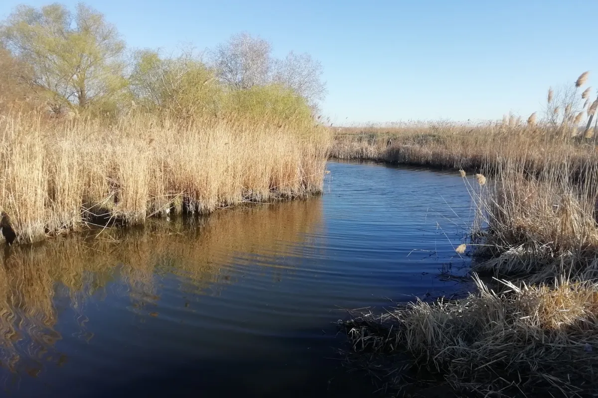Lower Dniester National Park photo 1