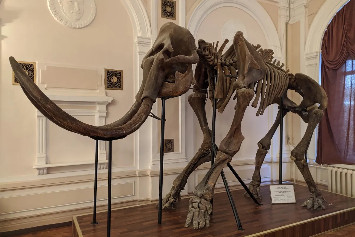 State Museum of Nature of V. N. Karazin Kharkiv National University photo 1