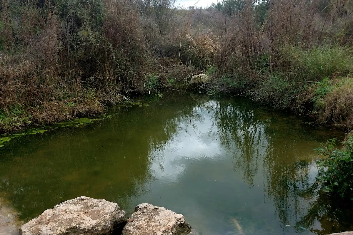 Tzaanan pool photo 1