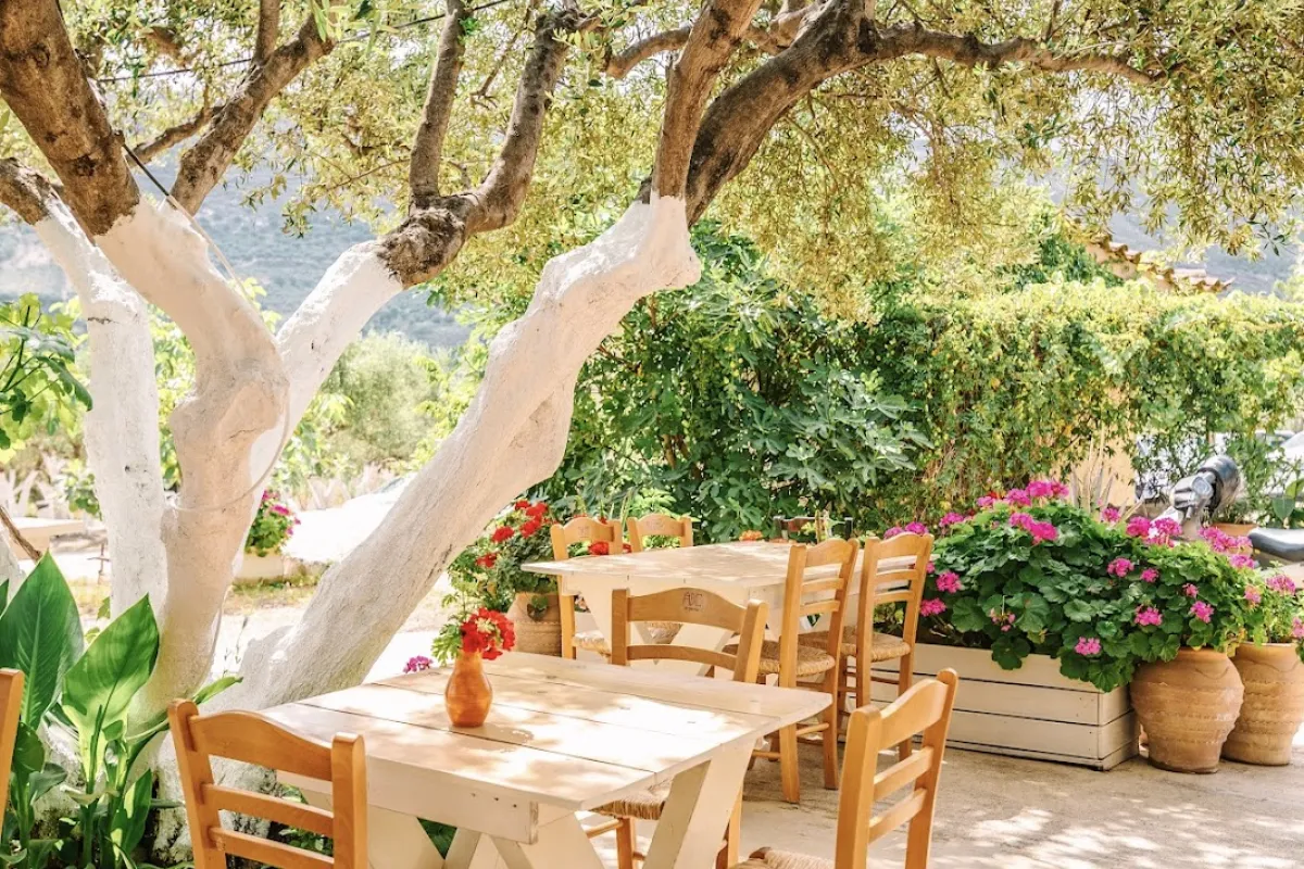 Pasiphae Restaurant photo 1