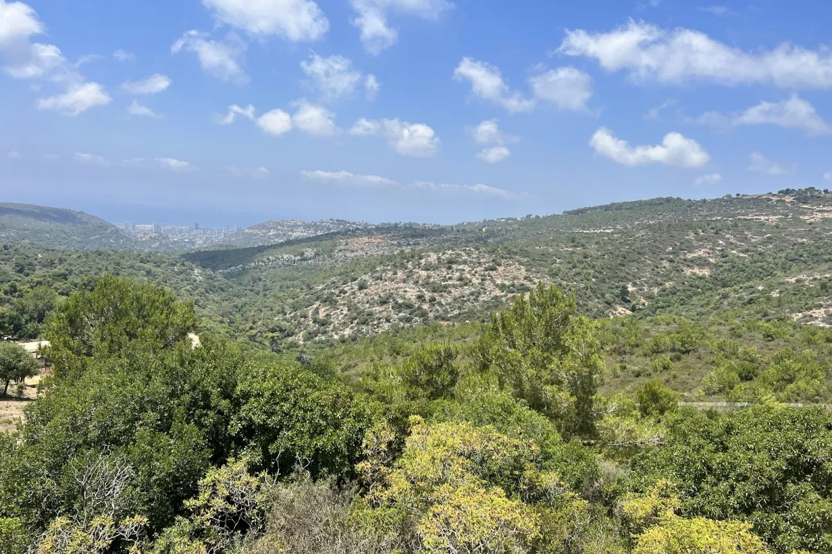 Hai-Bar Nature Reserve photo 1