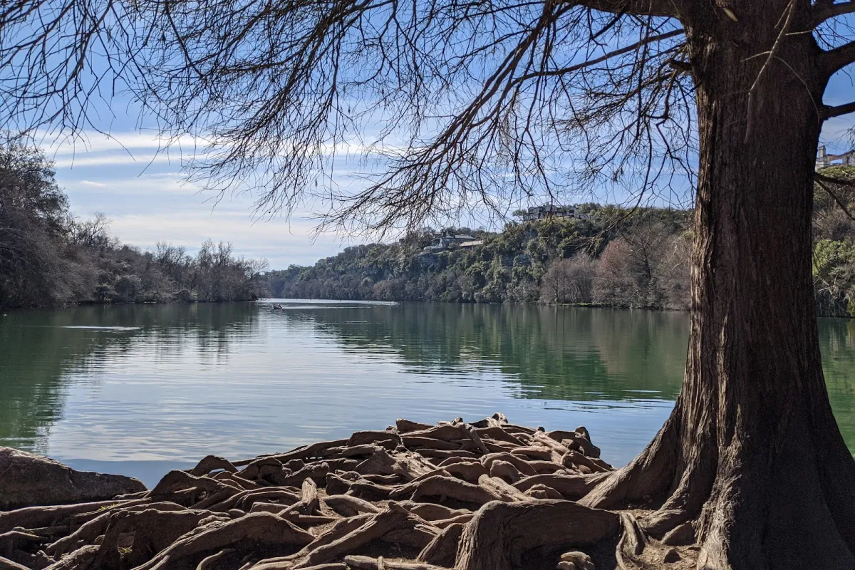 Red Bud Isle photo 1