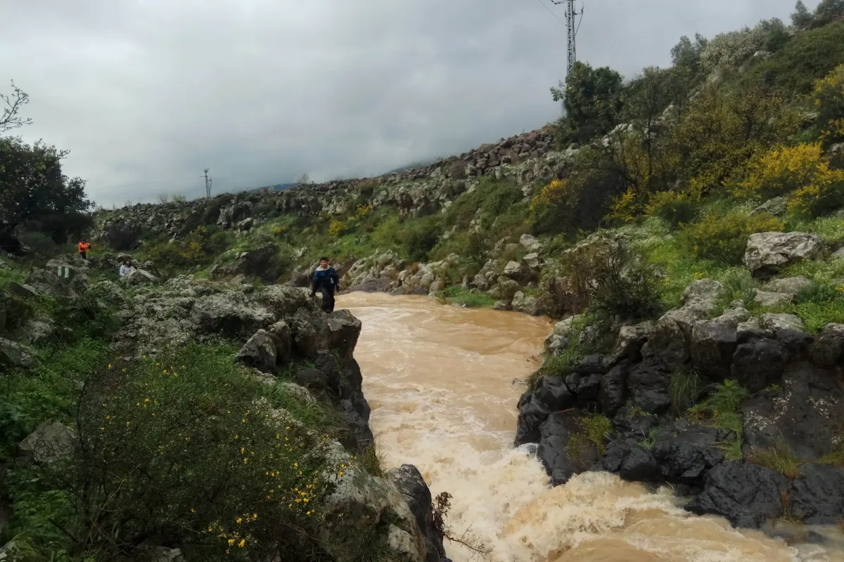 גשר הידידות photo 1
