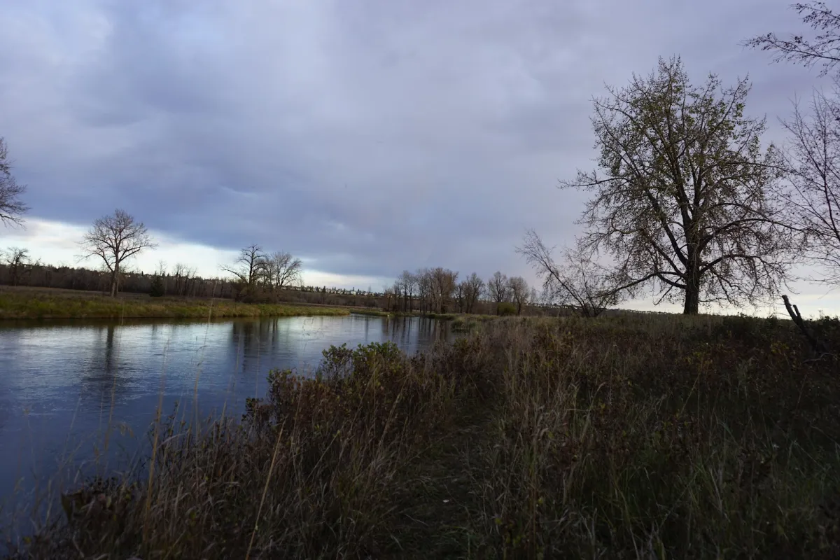 Mallard Point - Fish Creek Provincial Park photo 1