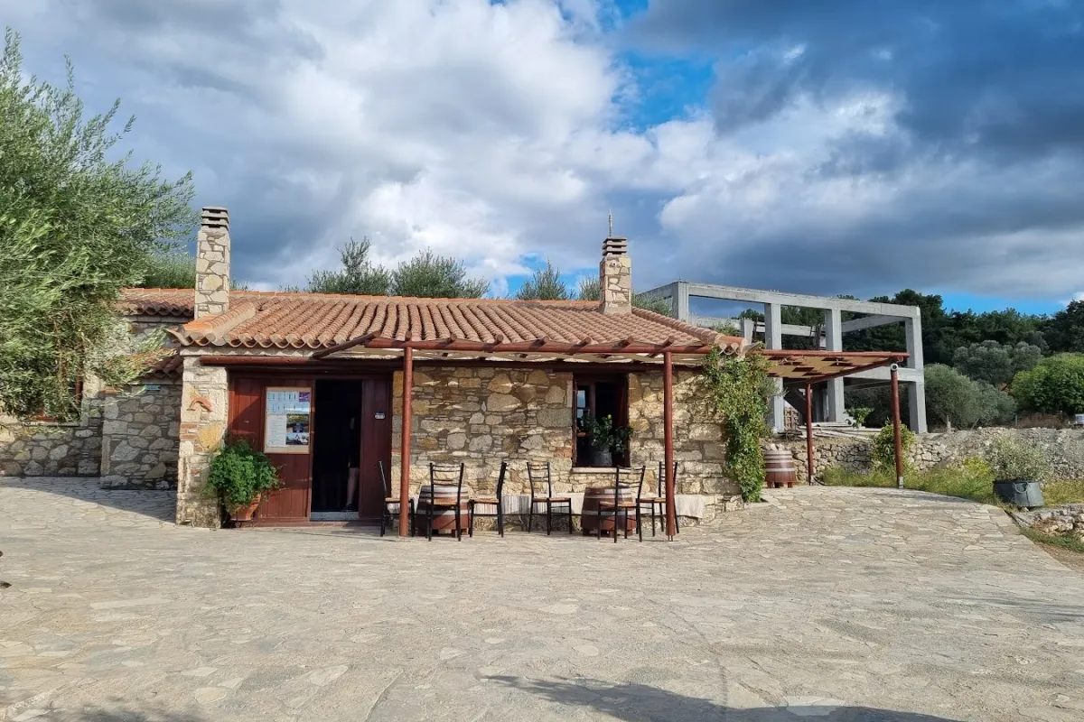 Vakakis photo 1