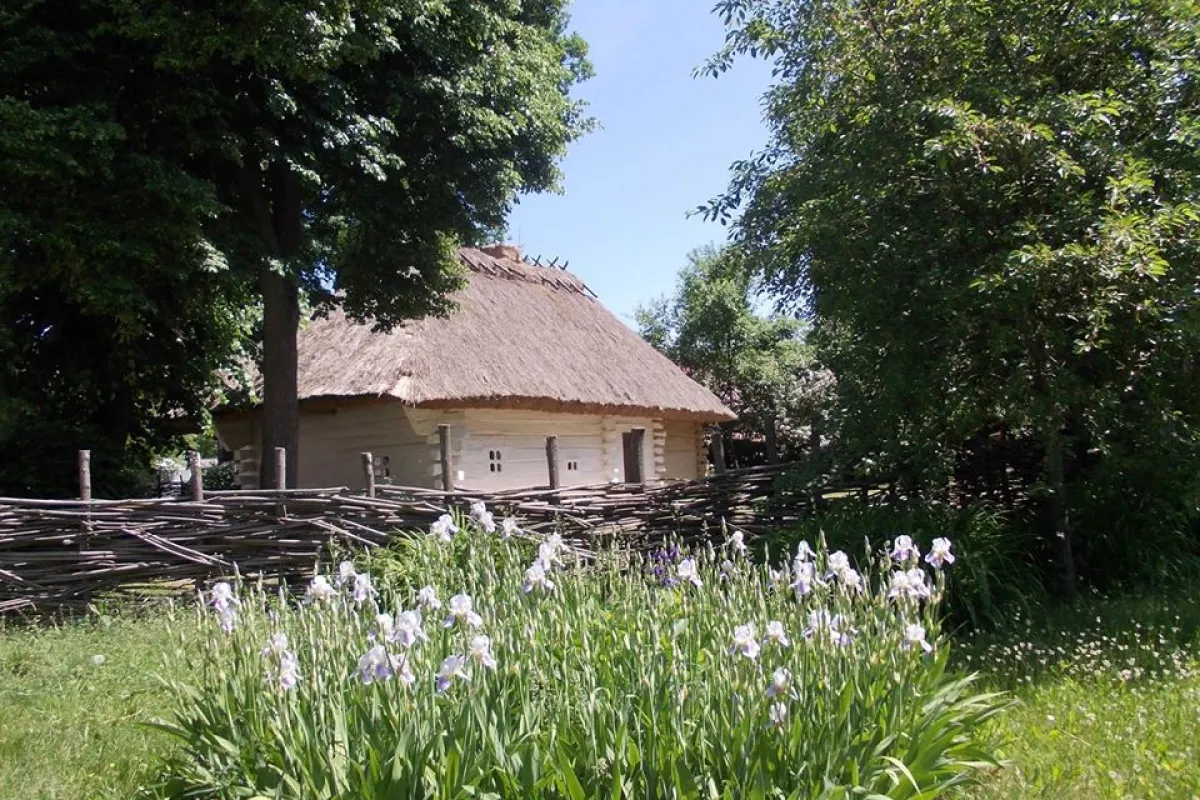 Literary-Memorial Museum of Taras Shevchenko photo 1