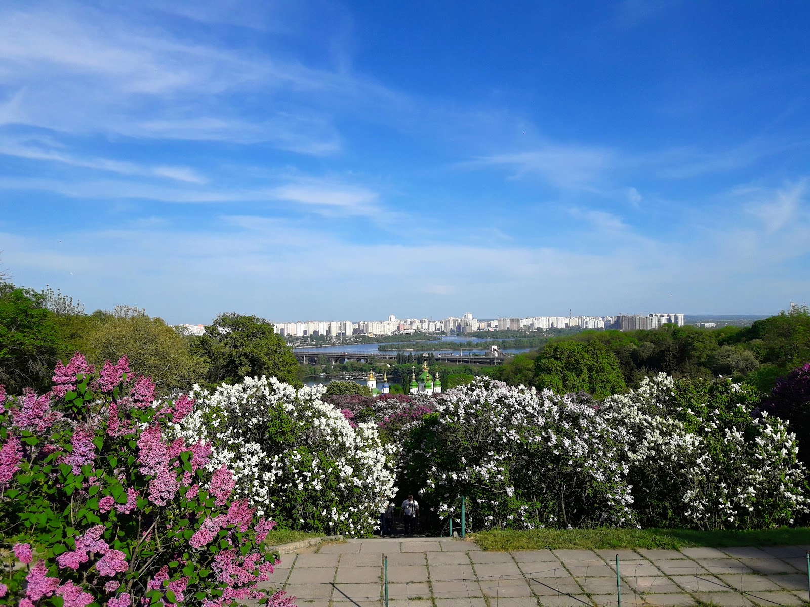 Kyiv National Botanical Garden photo 2