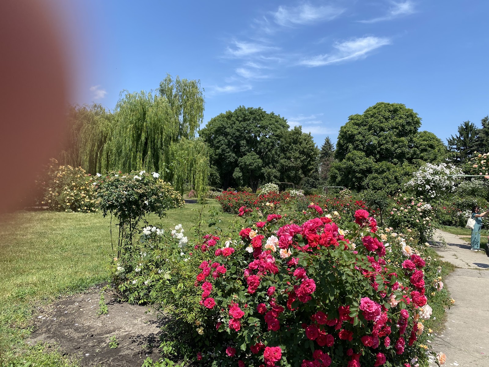 Kyiv National Botanical Garden photo 8