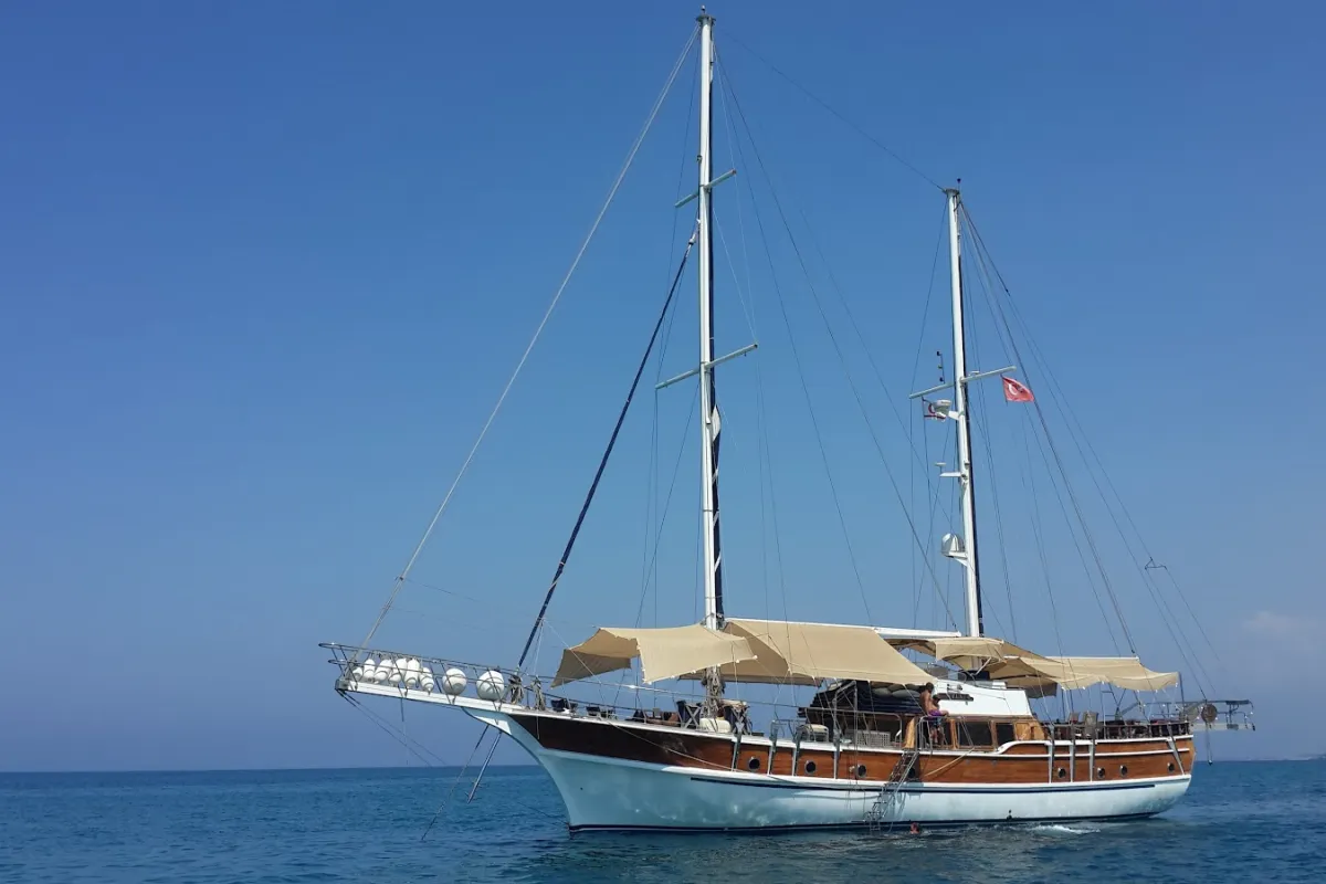 Vela Yachting LTD photo 1
