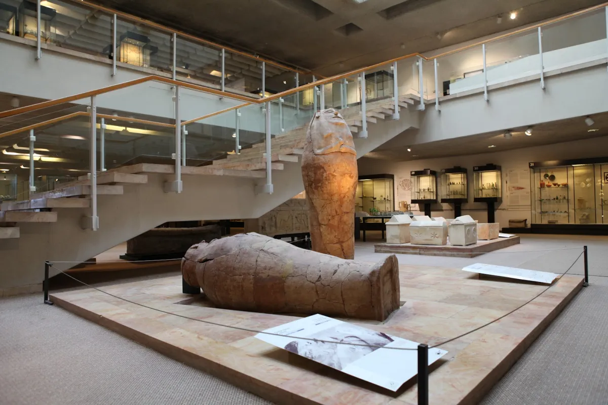 Hecht Museum photo 1