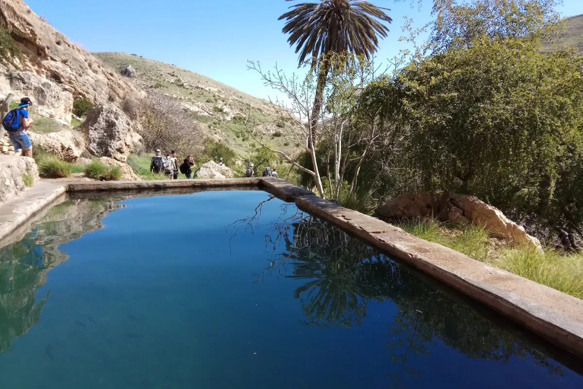 Ein Prat Nature Reserve photo 1