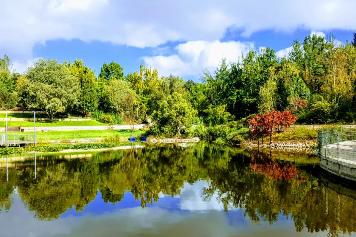 Jerusalem Botanical Gardens photo 1