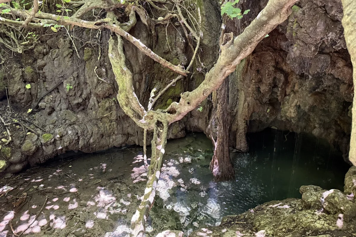Baths of Aphrodite photo 1