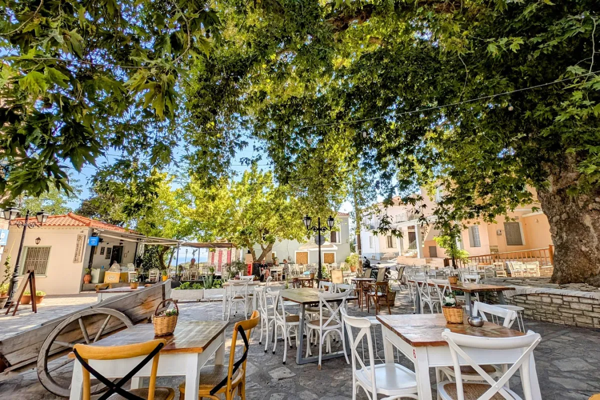 Sama authentic samos cuisine photo 1