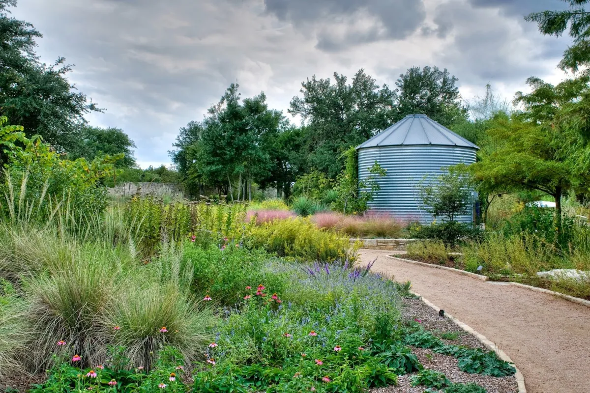 Lady Bird Johnson Wildflower Center photo 1