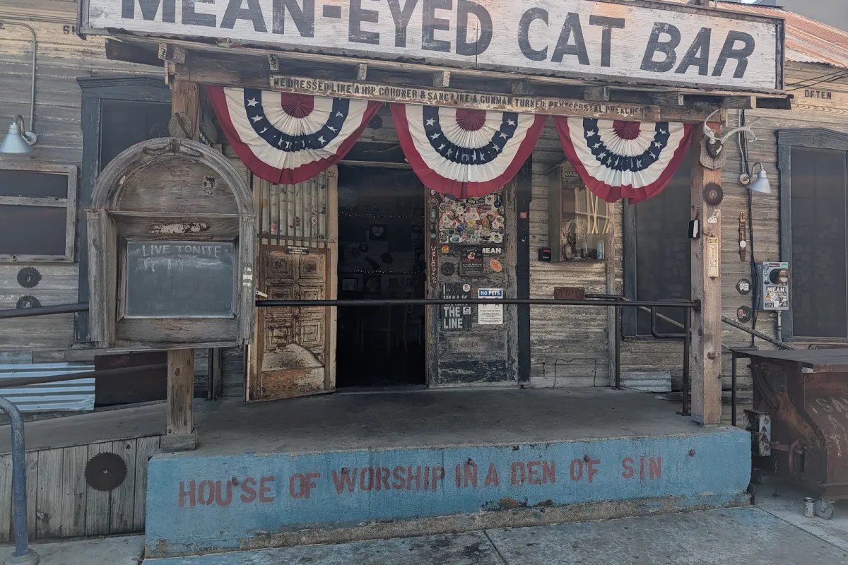 Mean Eyed Cat photo 1