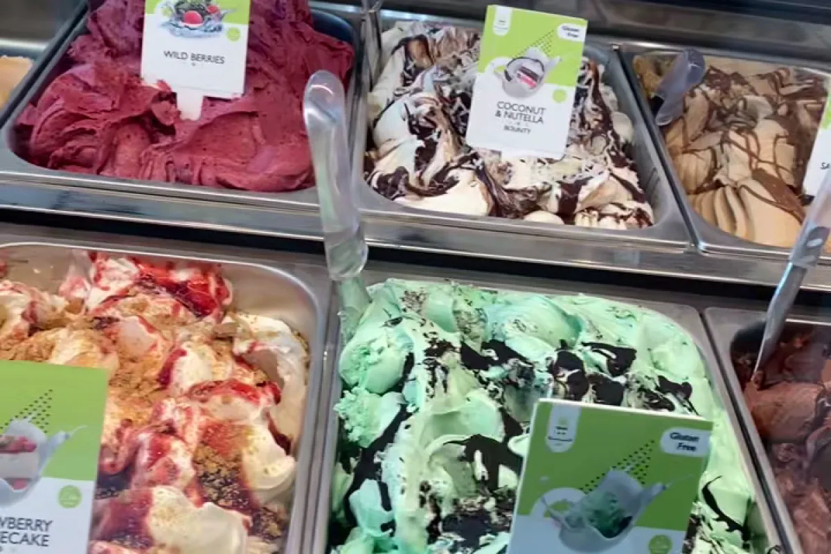 The Gelatist photo 1