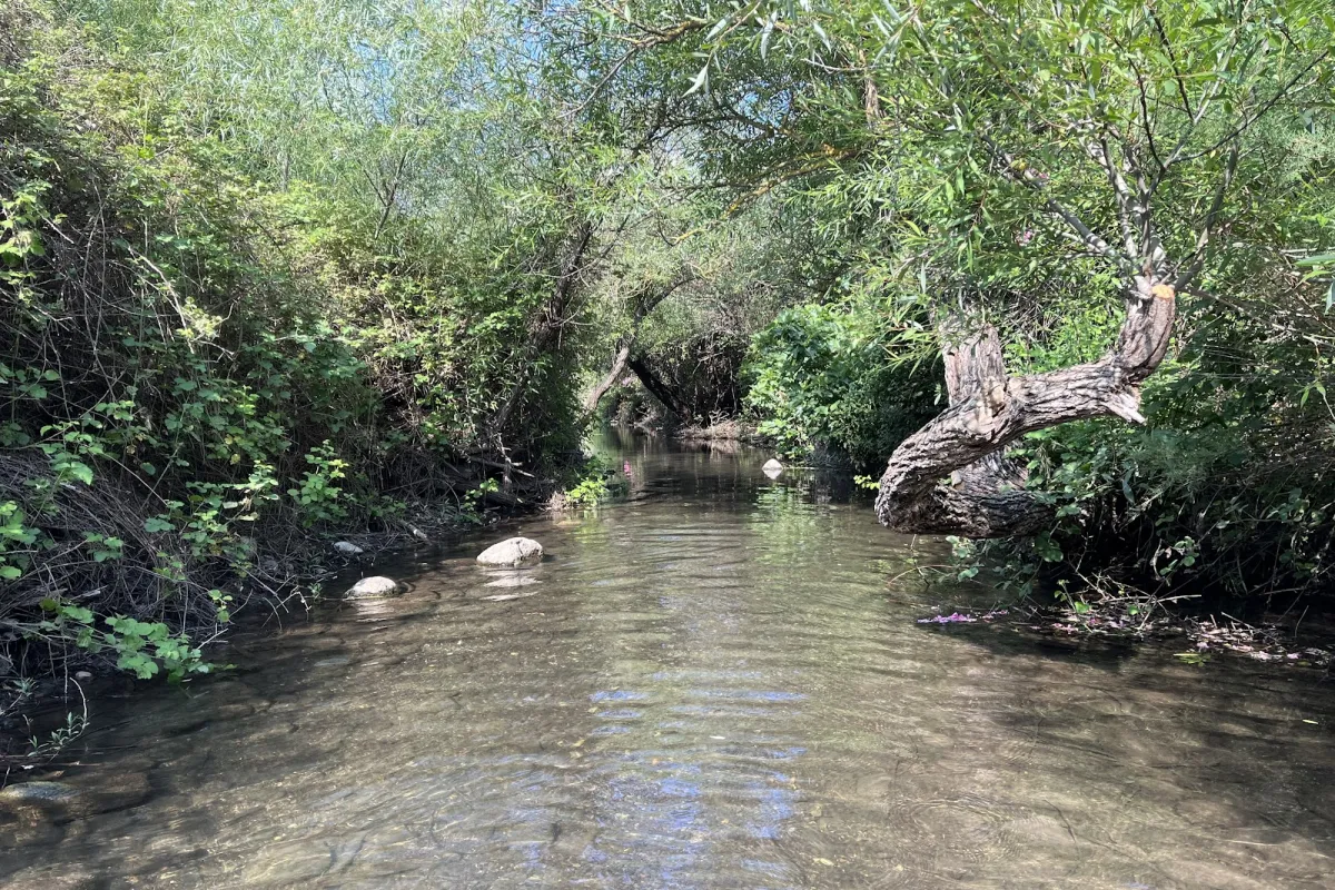 Majrase Nature Reserve photo 1