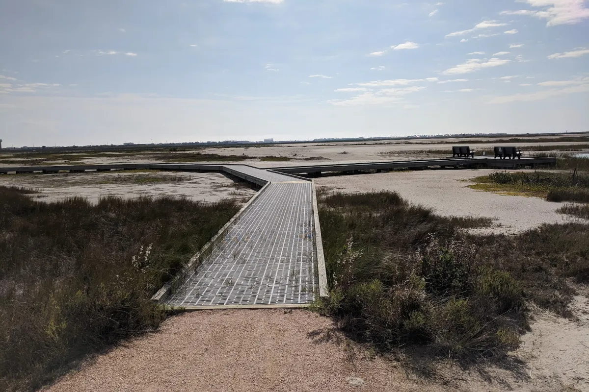 Port Aransas Nature Preserve at Charlie's Pasture photo 1