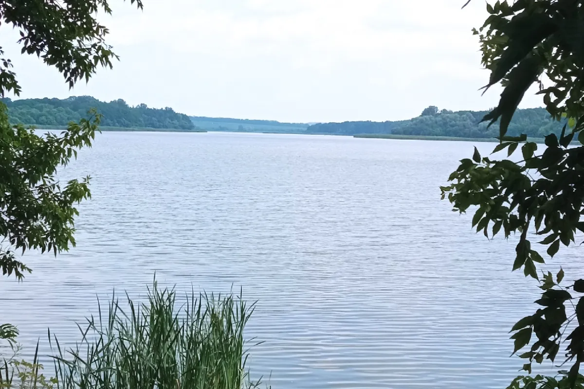 Regional Landscape Park "Dicanskogo" photo 1