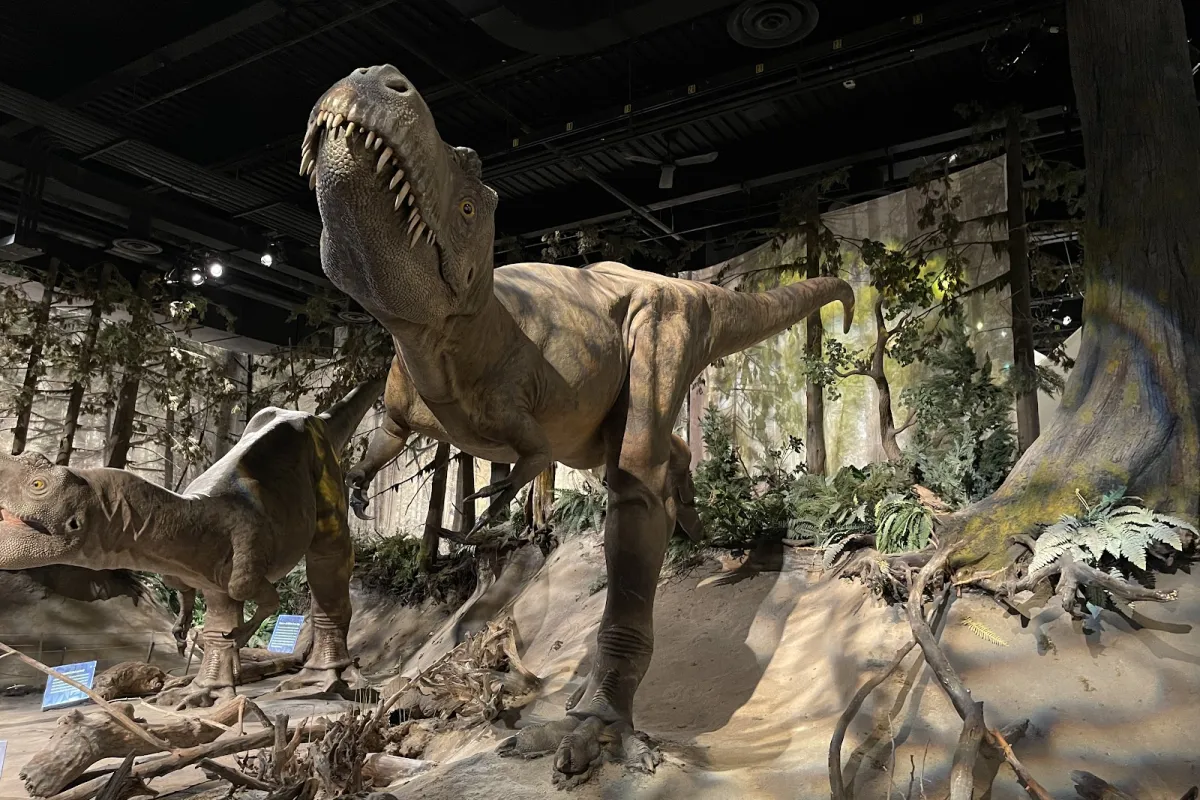 Royal Tyrrell Museum photo 1
