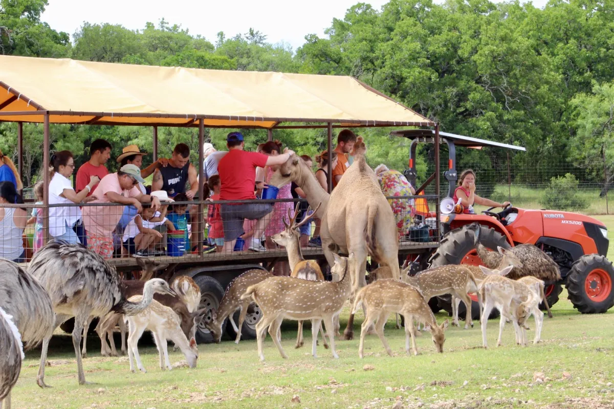 The Exotic Resort Zoo photo 1