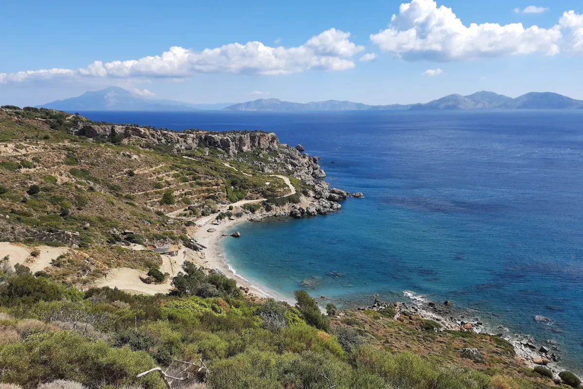 Nealia Beach photo 1