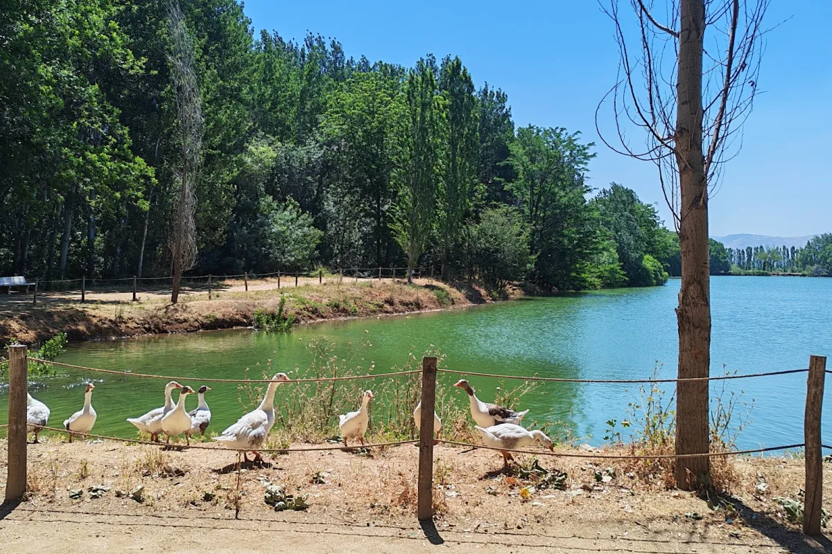 Domaine de Taanayel photo 1