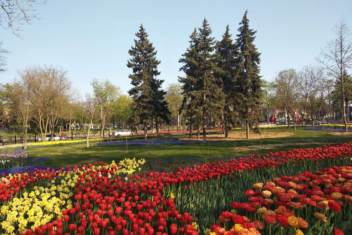 park Veselka photo 1