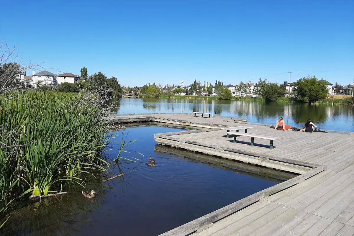 Bridlewood Wetlands Park photo 1