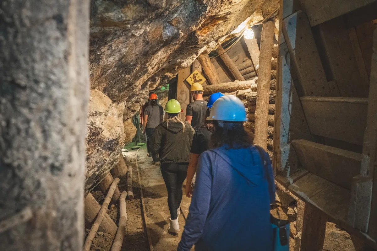 Phoenix Gold Mine photo 1