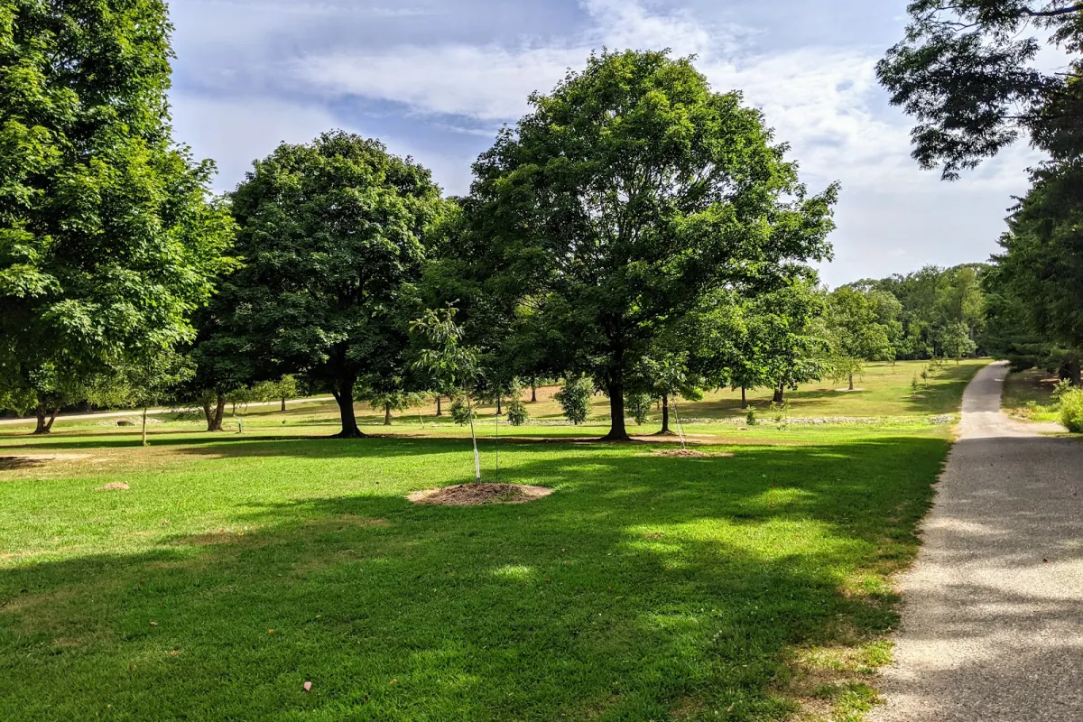 Lodge Park photo 1