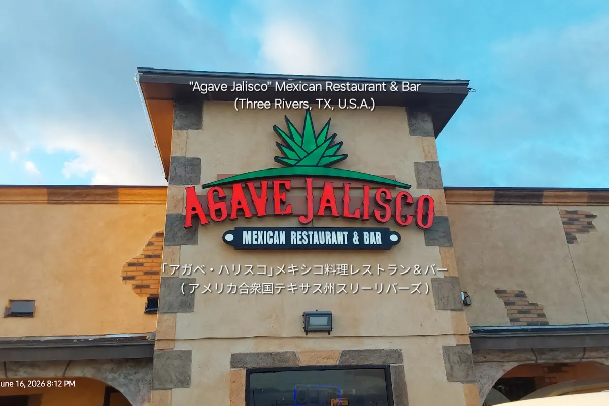 Agave Jalisco @ Three Rivers, TX photo 1