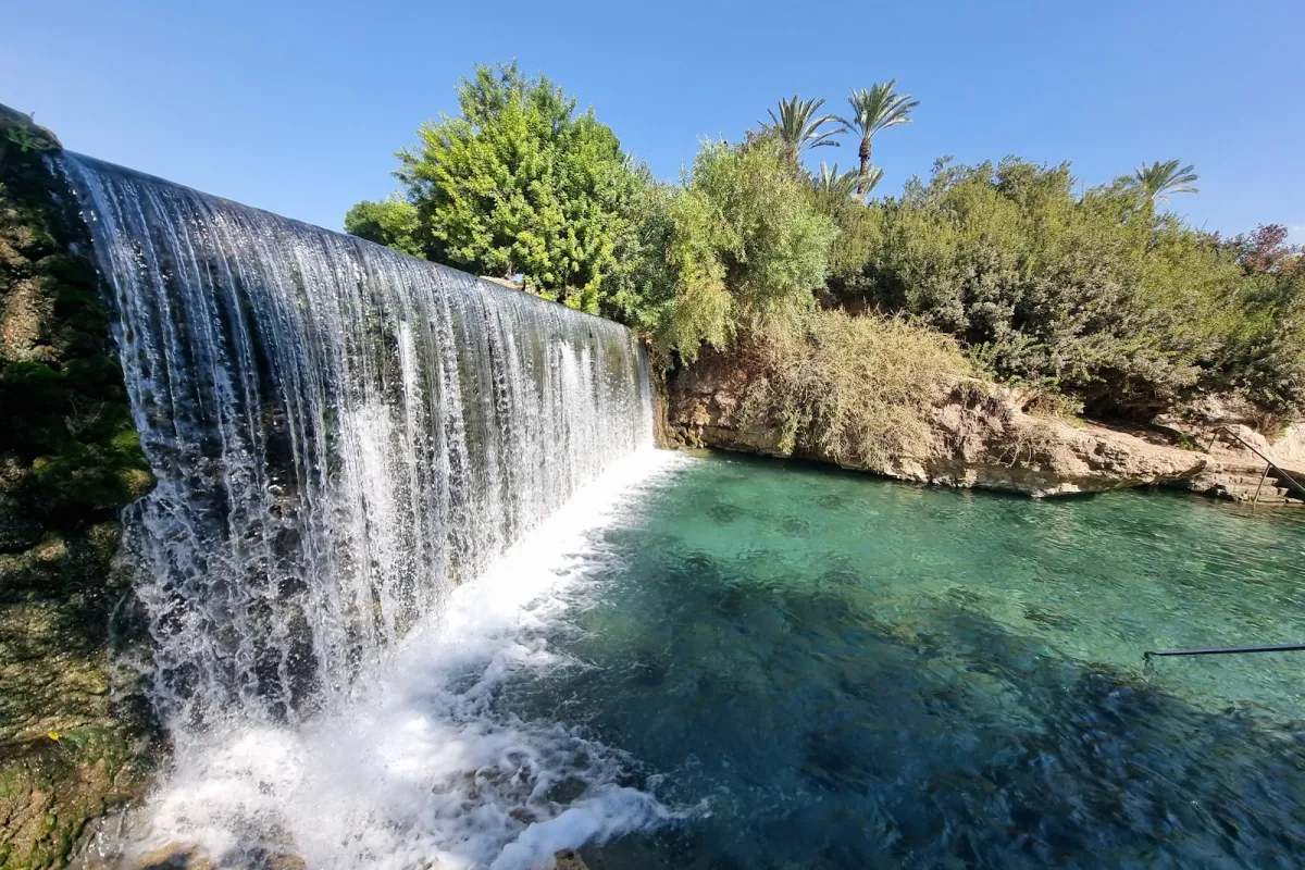 Gan HaShlosha National Park photo 1