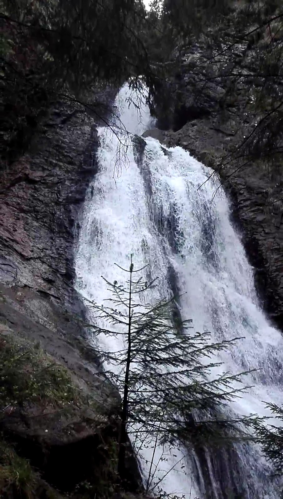 Apuseni Natural Park photo 5