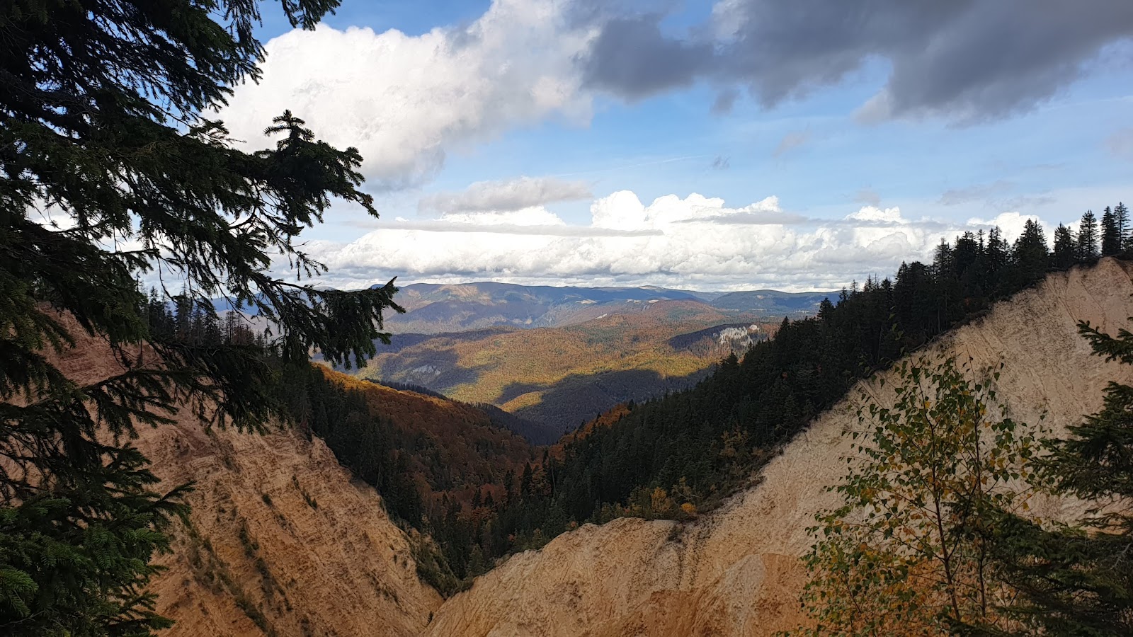 Apuseni Natural Park photo 11