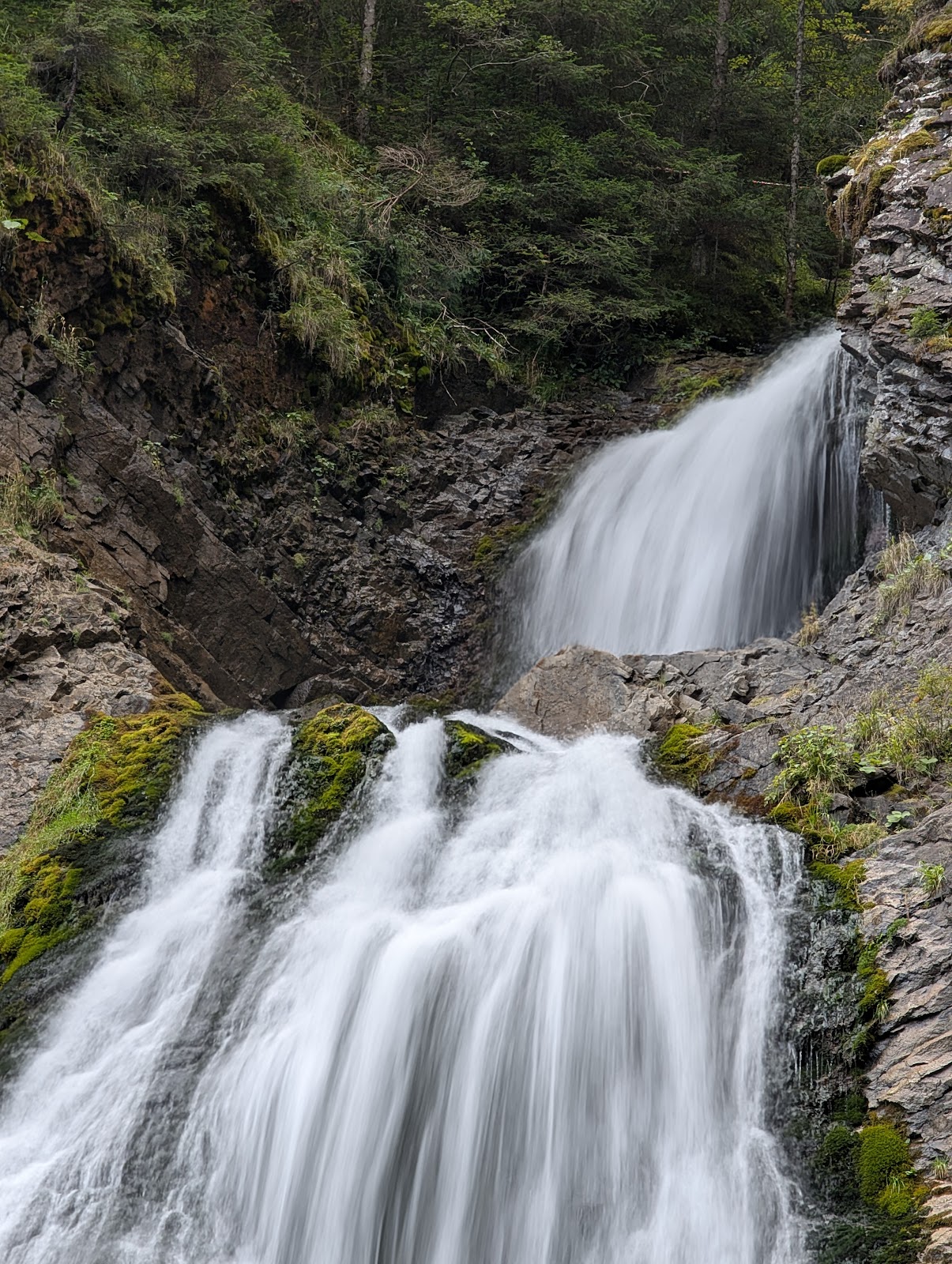 Apuseni Natural Park photo 9