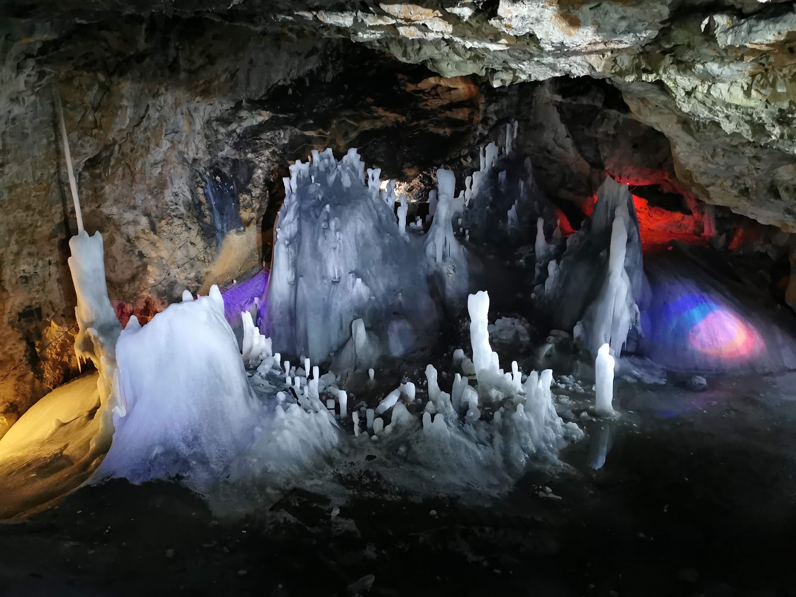 Apuseni Natural Park photo 8