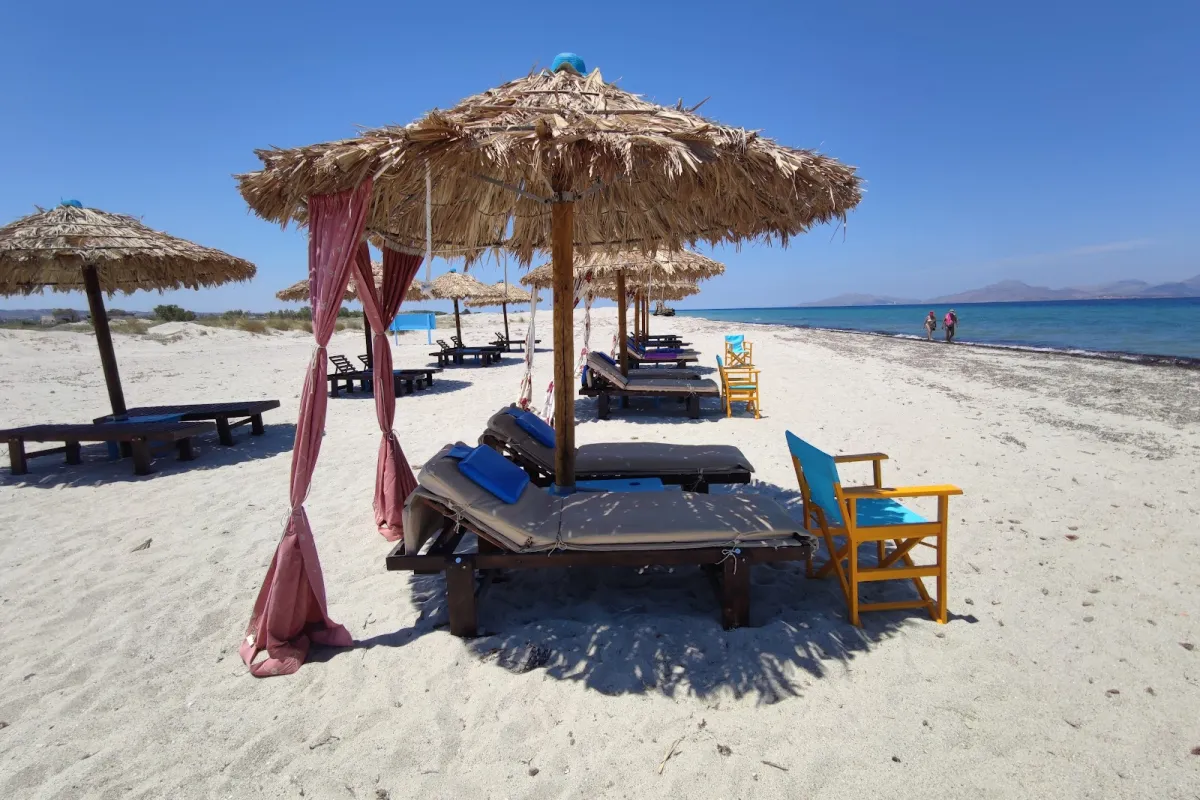 Happy Flamingo Beach photo 1