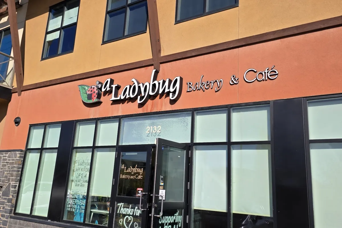Ladybug Bakery and Cafe photo 1