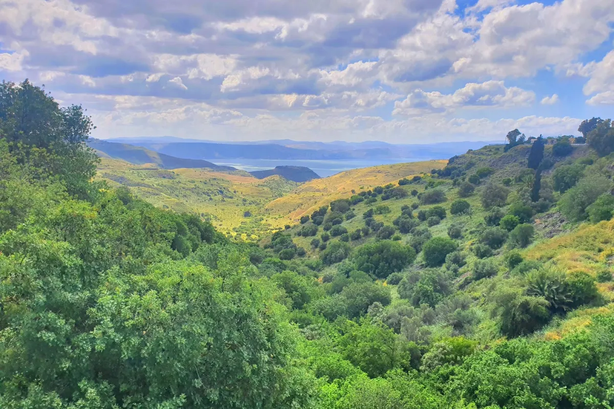 עין פיק photo 1