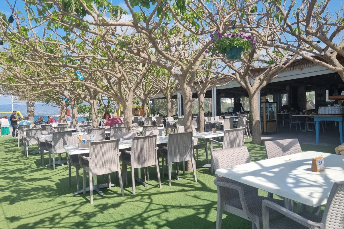YIALOS BEACH GRILL HOUSE photo 1
