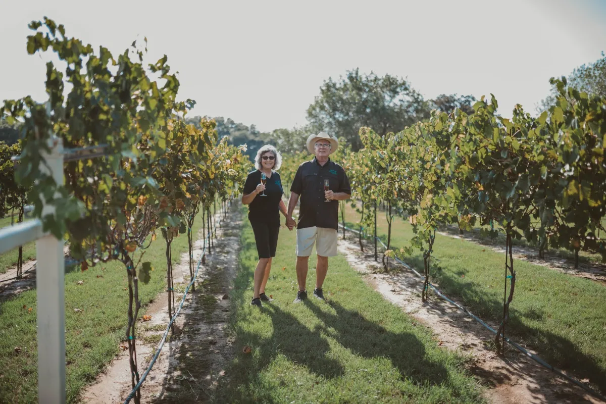 Rising Sun Vineyard photo 1