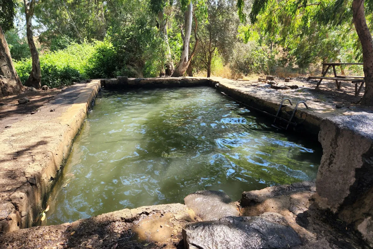 בריכת אורחה ג'וחדר photo 1