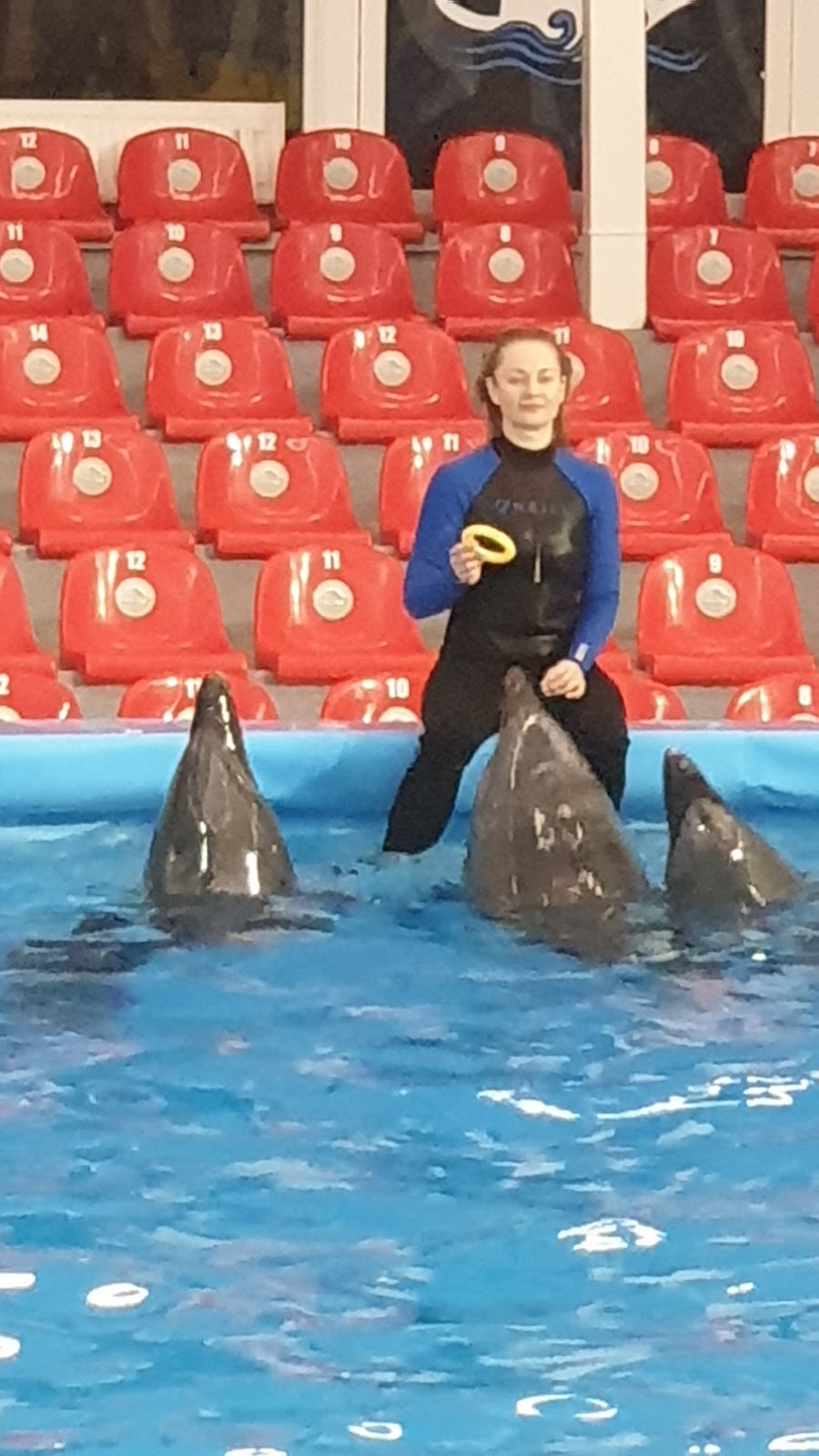Dolphinarium Nemo photo 10
