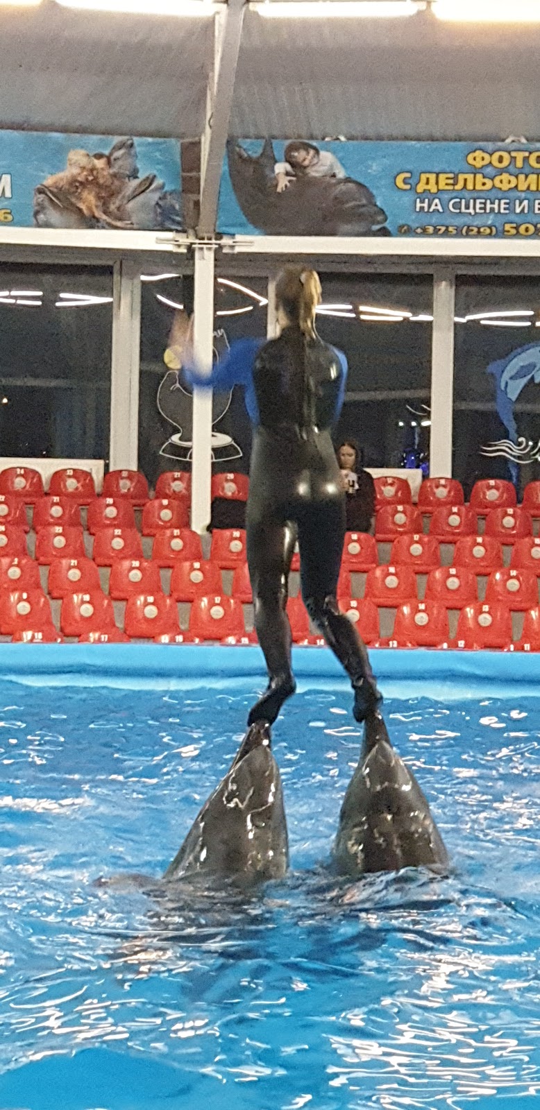 Dolphinarium Nemo photo 11