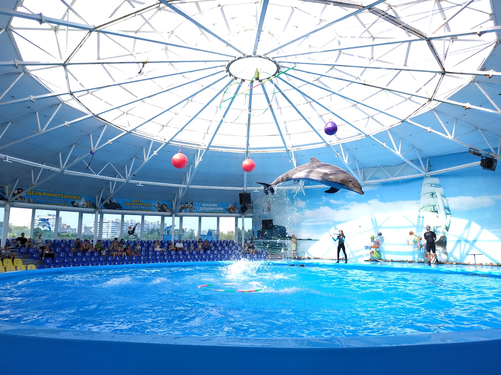 Dolphinarium Nemo photo 2