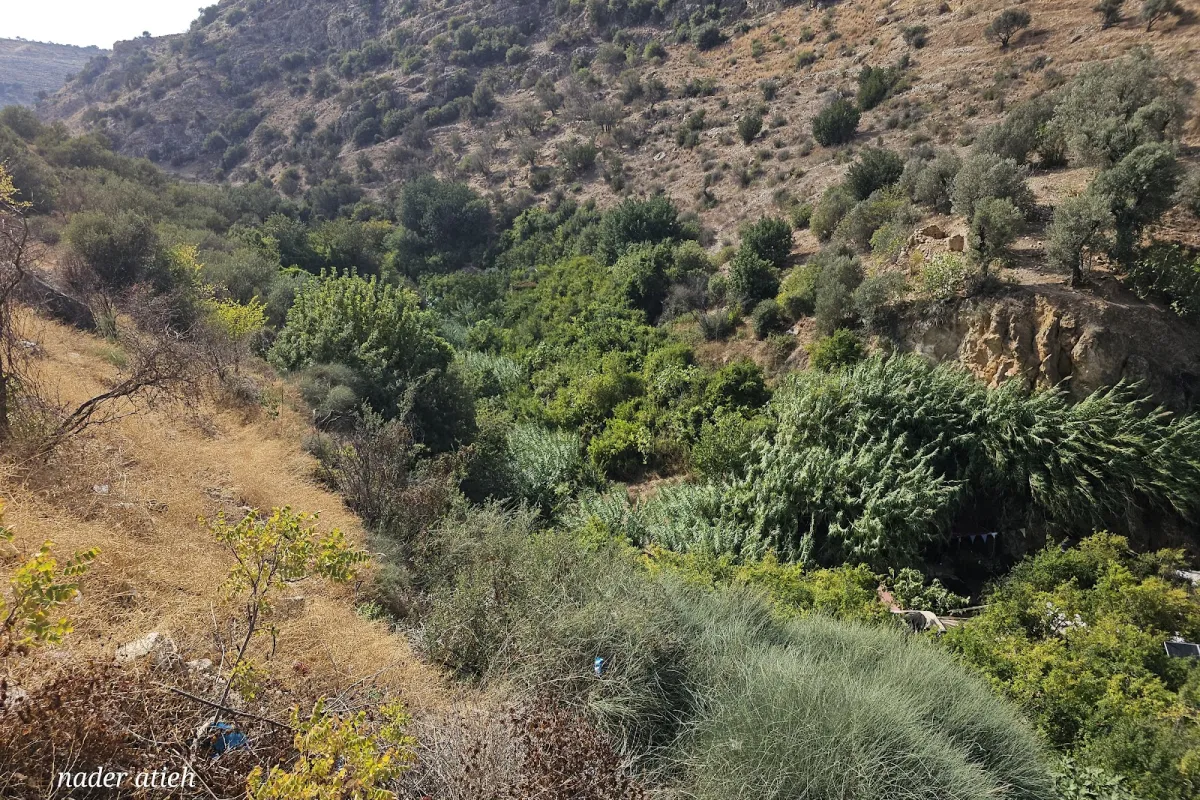 وادي الريان جديتا/إربد photo 1